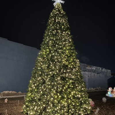 Minneapolis xmas tree 2023 $15K